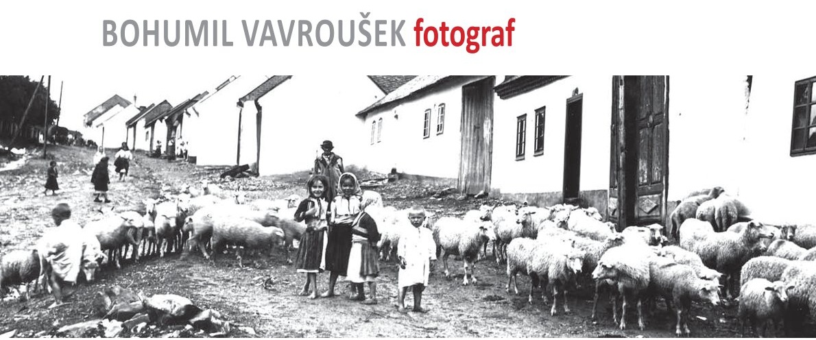 Vavroušek